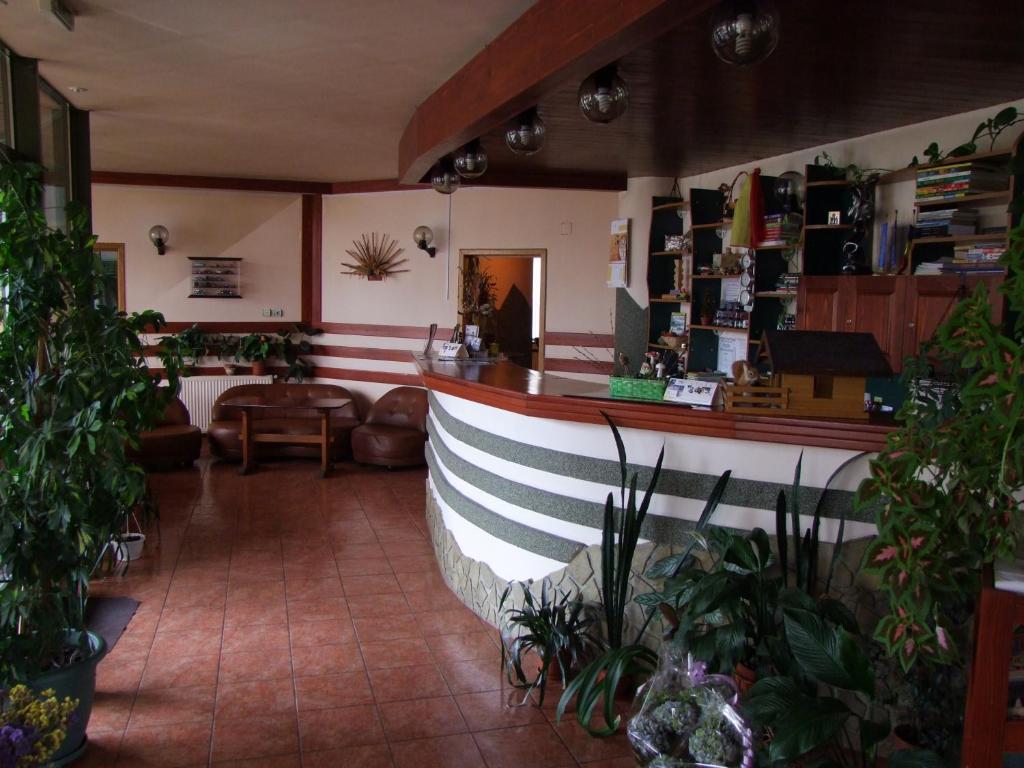 Hotel Silva Vatra Dornei Exterior foto